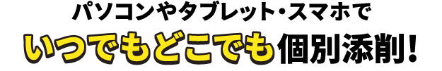パソコンやタブレット・スマホでいつでもどこでも個別添削!
